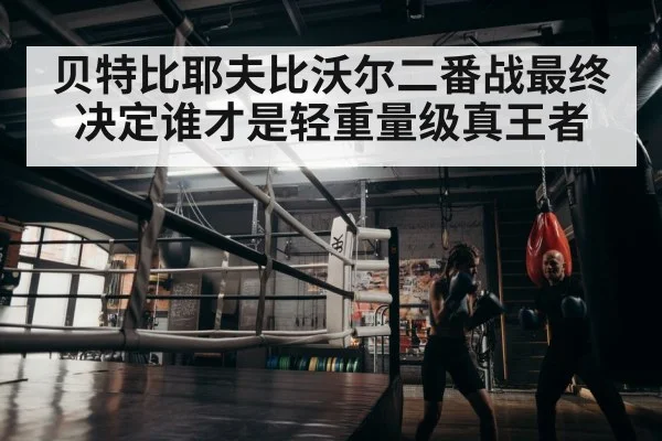 贝特比耶夫比沃尔二番战最终决定谁才是轻重量级真王者